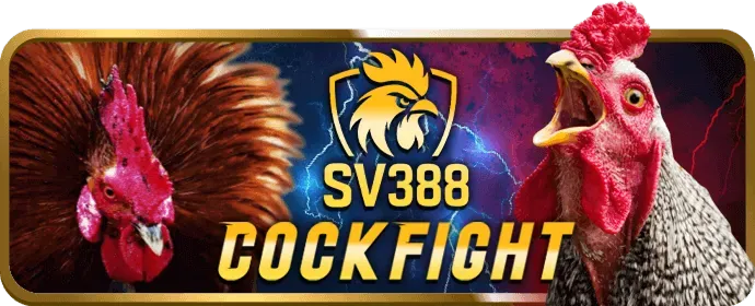 Giới thiệu về 678win nhà cái